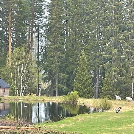Dalsvallen Sveg Exteriér fotografie