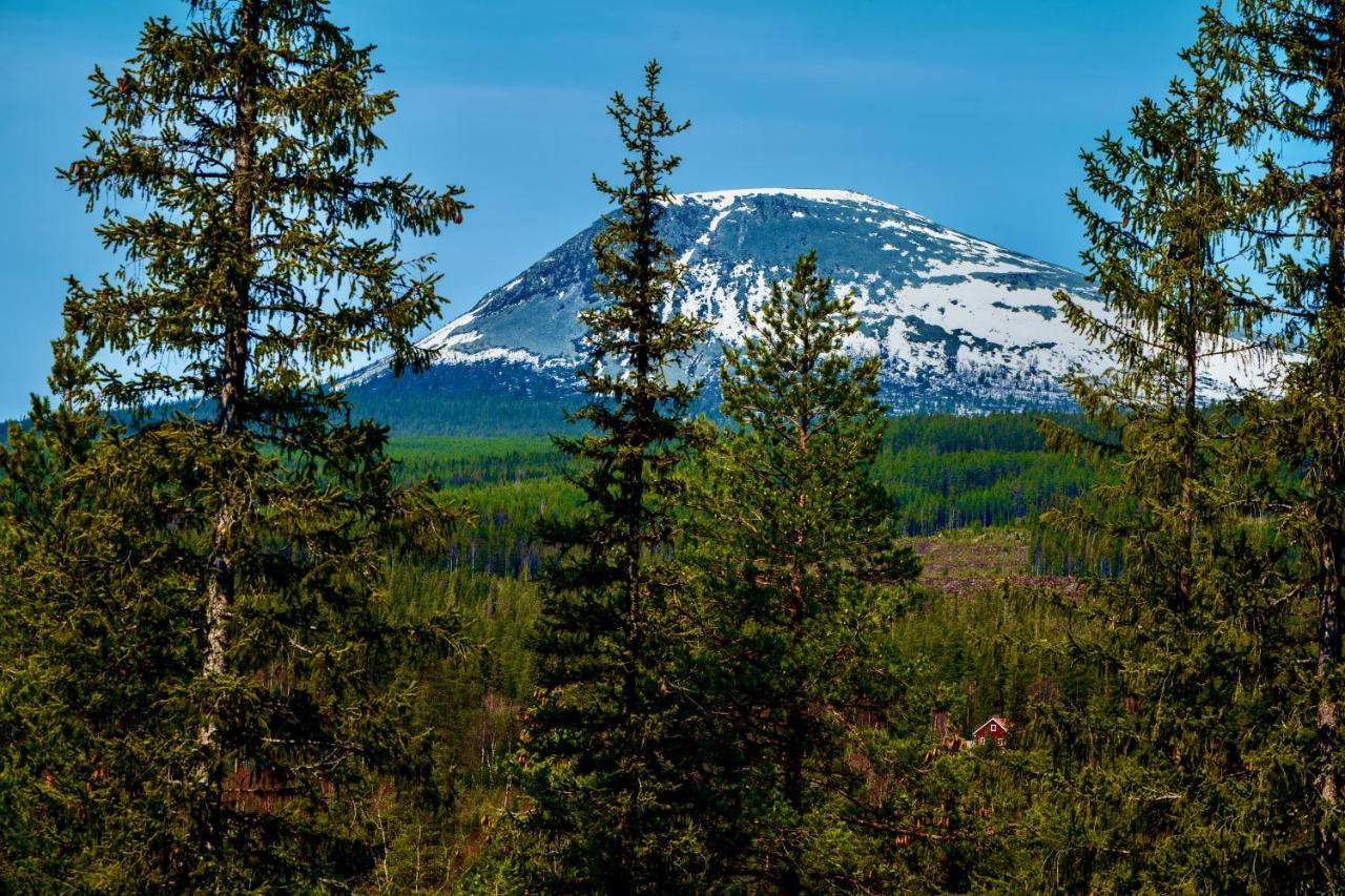 Dalsvallen Sveg Exteriér fotografie